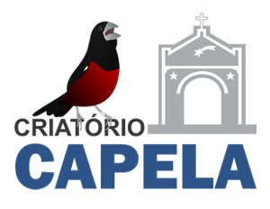 logotipo